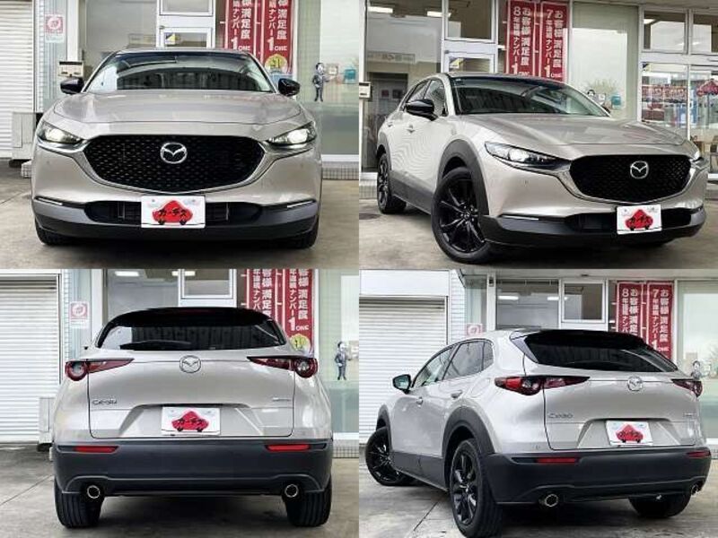 CX-30