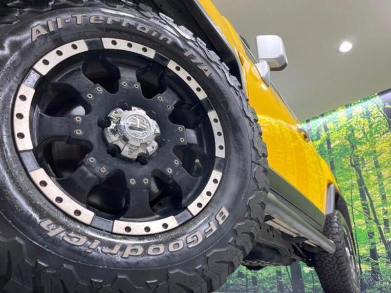 FJ CRUISER