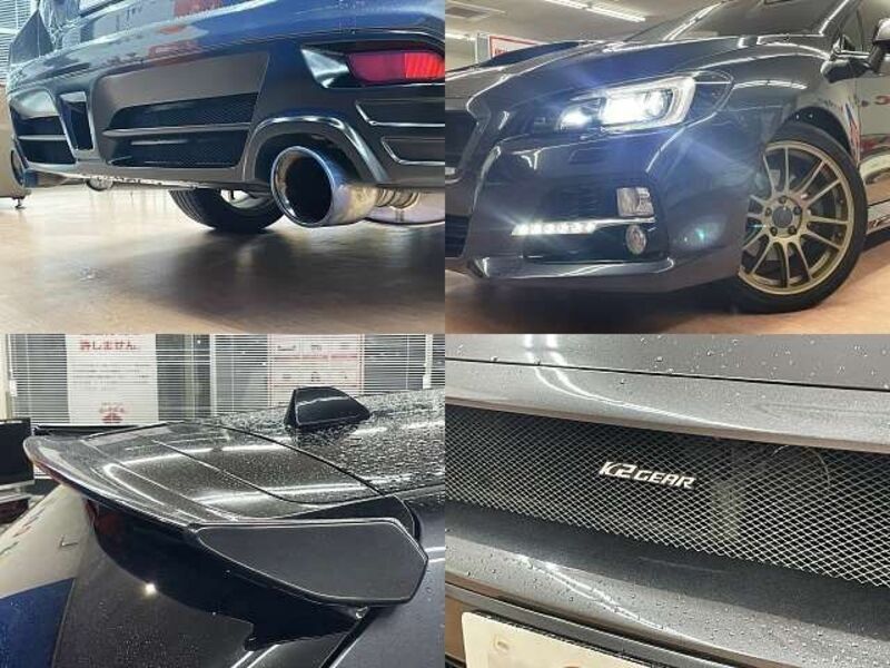 LEVORG