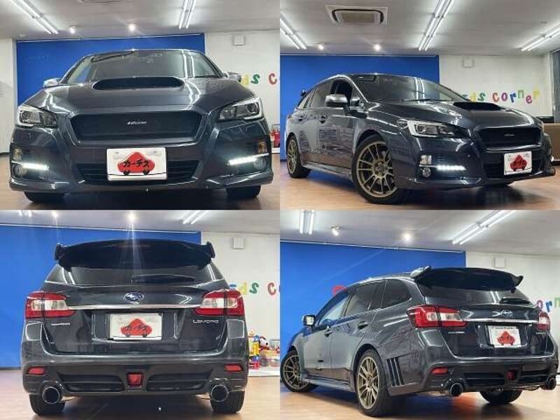 LEVORG