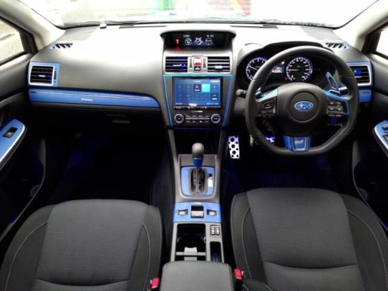 LEVORG