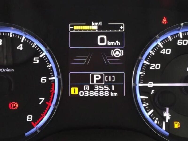 LEVORG