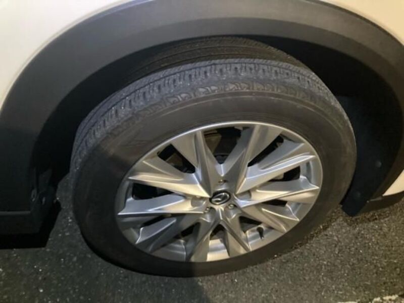 CX-8