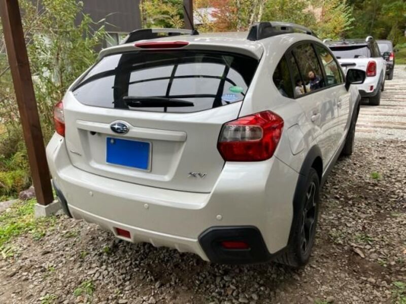 XV