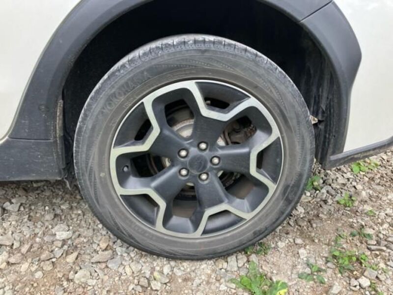 XV