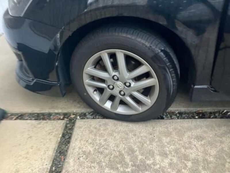 COROLLA FIELDER