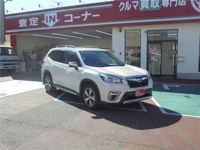 FORESTER
