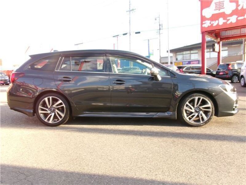 LEVORG