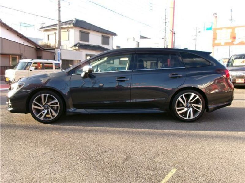 LEVORG