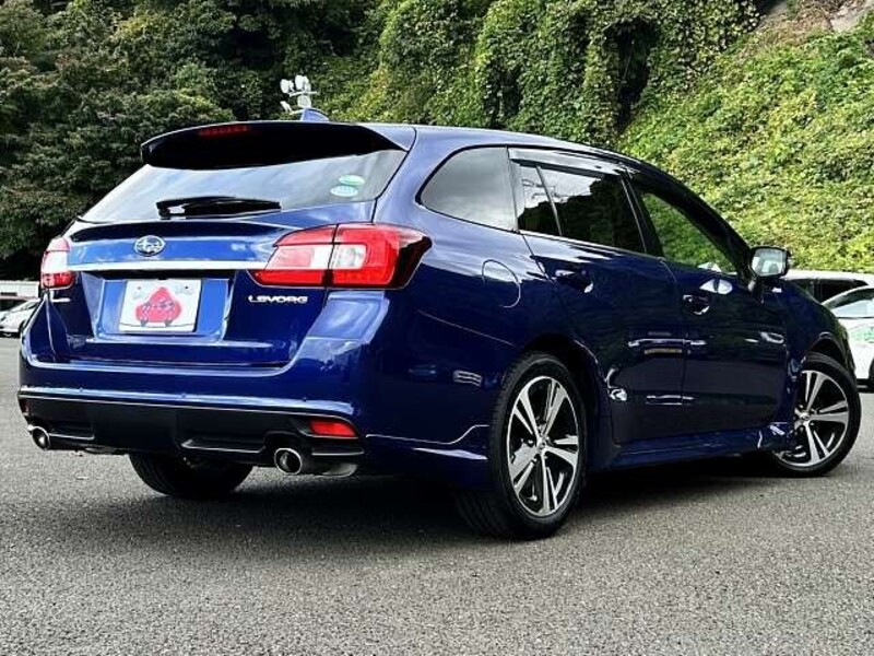 LEVORG