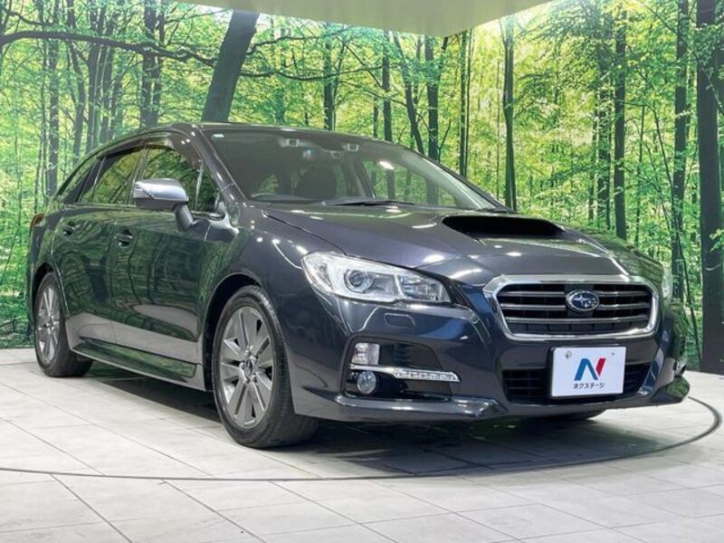 LEVORG