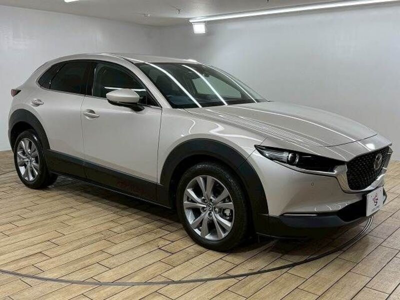 CX-30