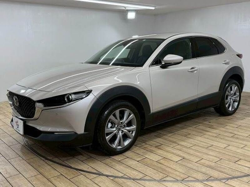 CX-30