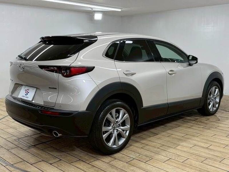 CX-30