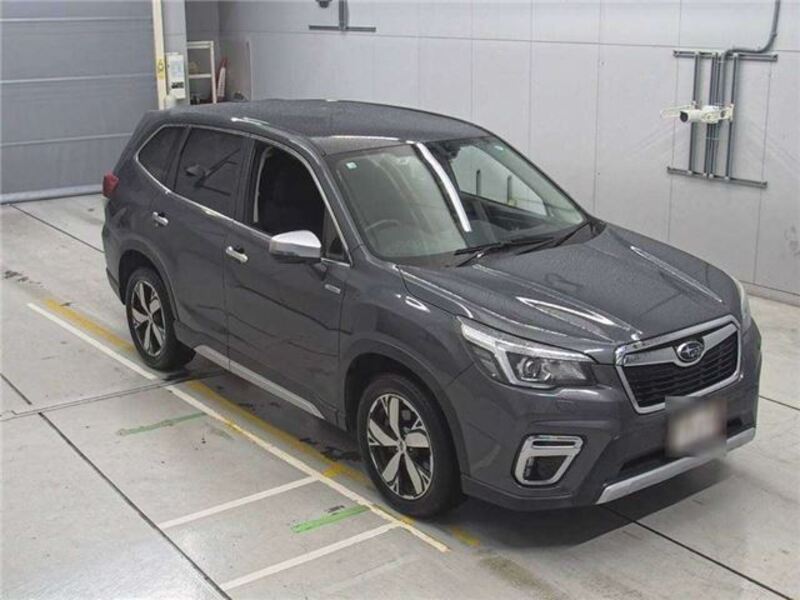 FORESTER