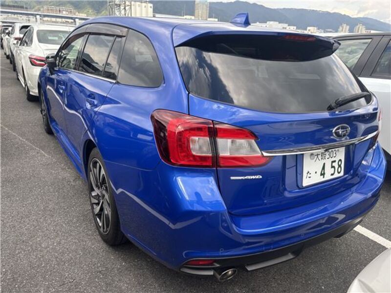 LEVORG