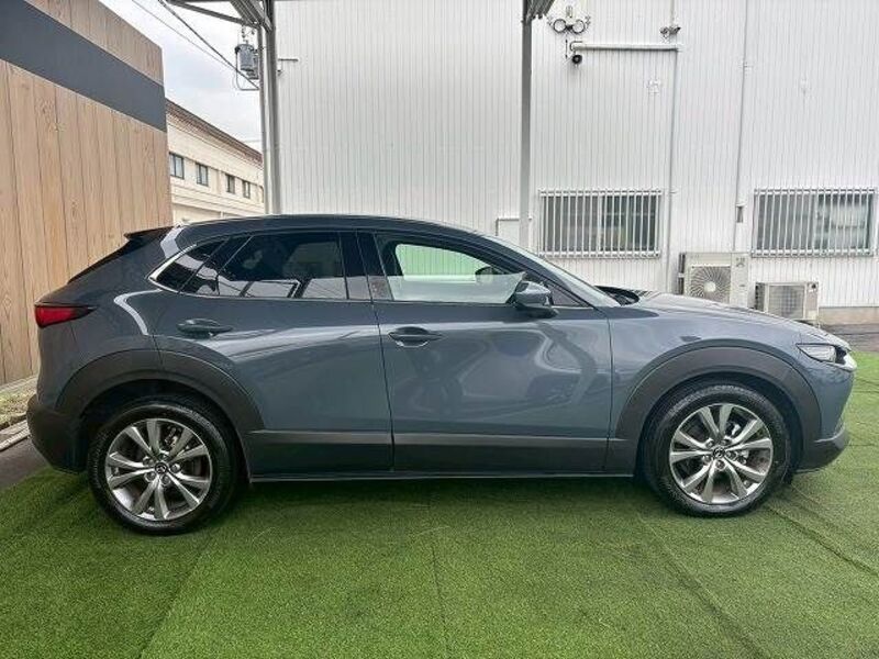 CX-30