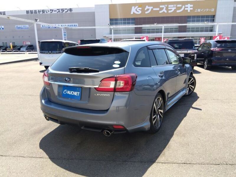 LEVORG