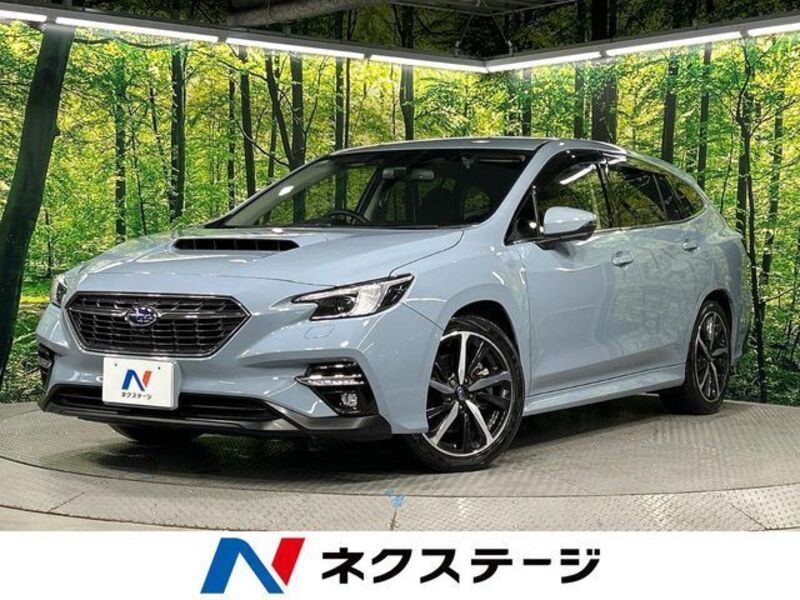 LEVORG-0