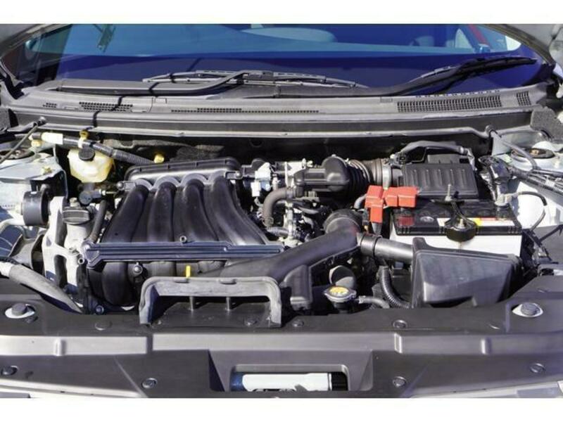 BLUEBIRD SYLPHY
