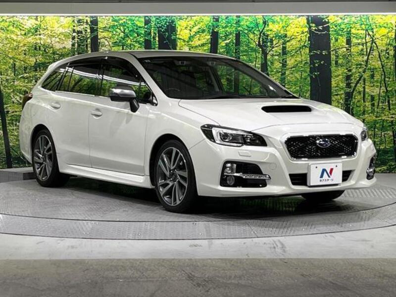 LEVORG