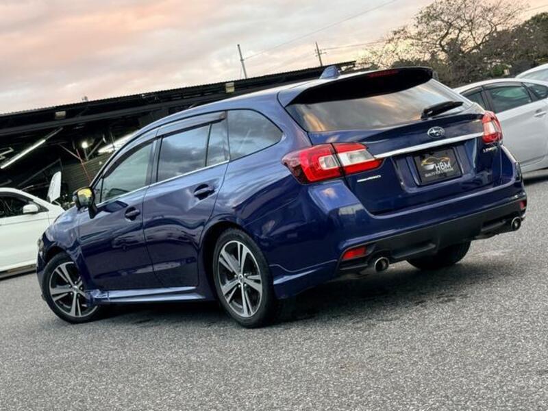 LEVORG