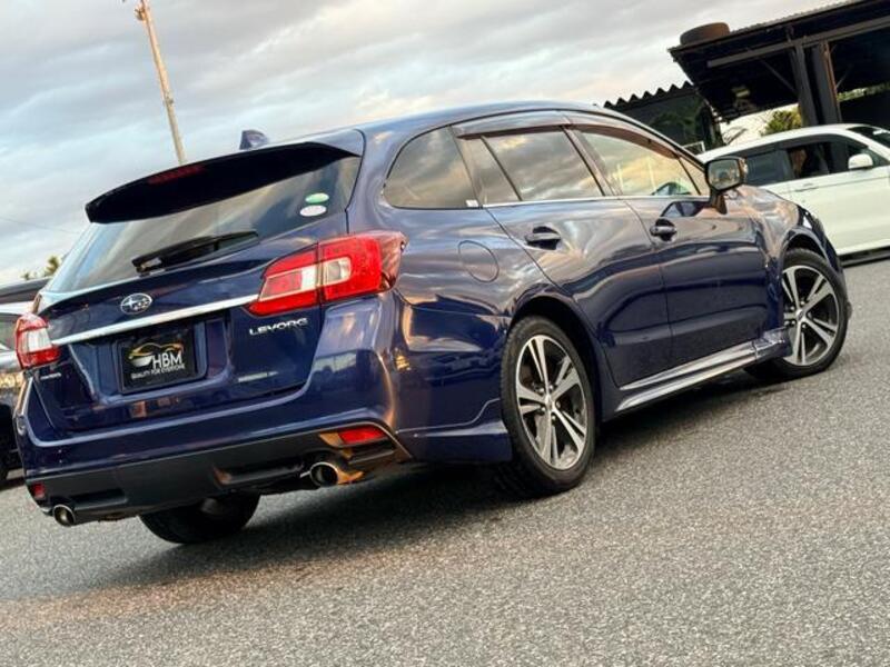LEVORG