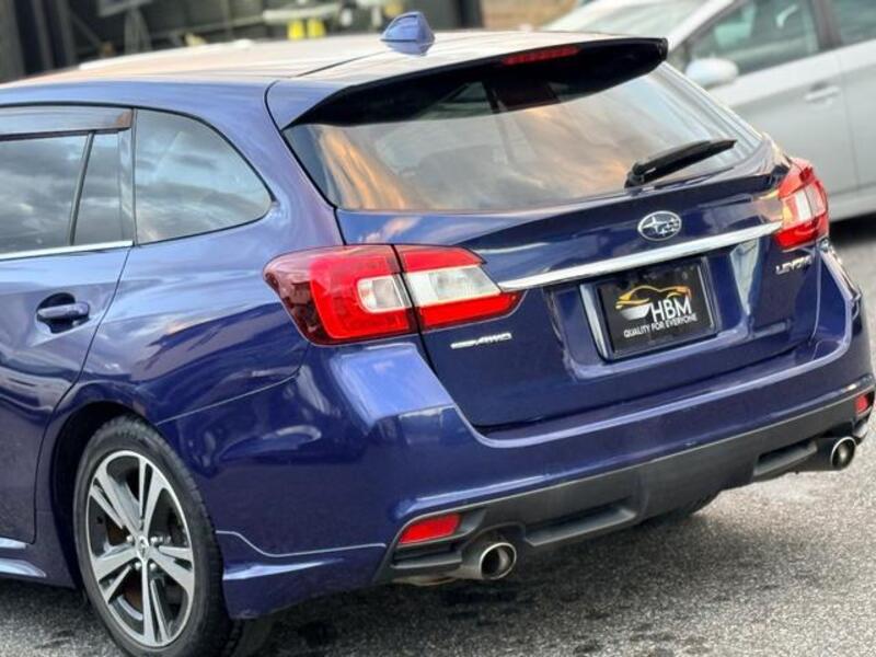 LEVORG