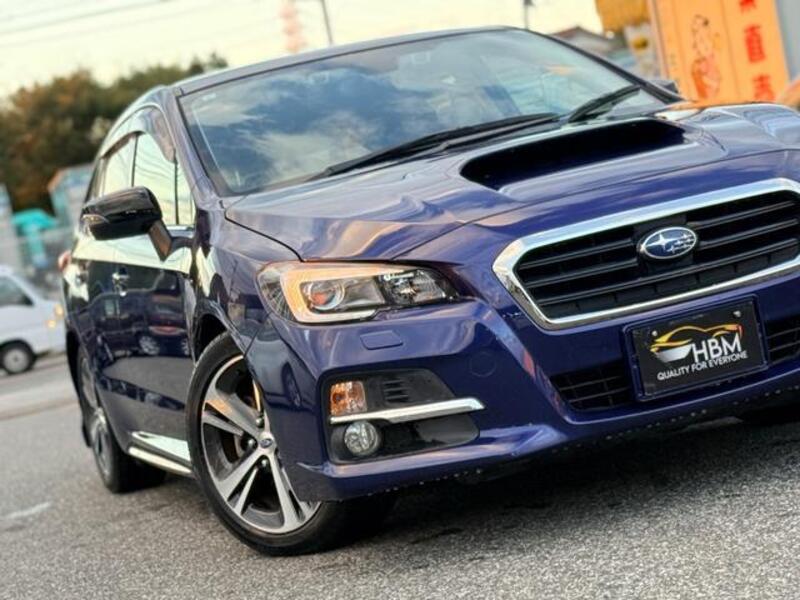 LEVORG
