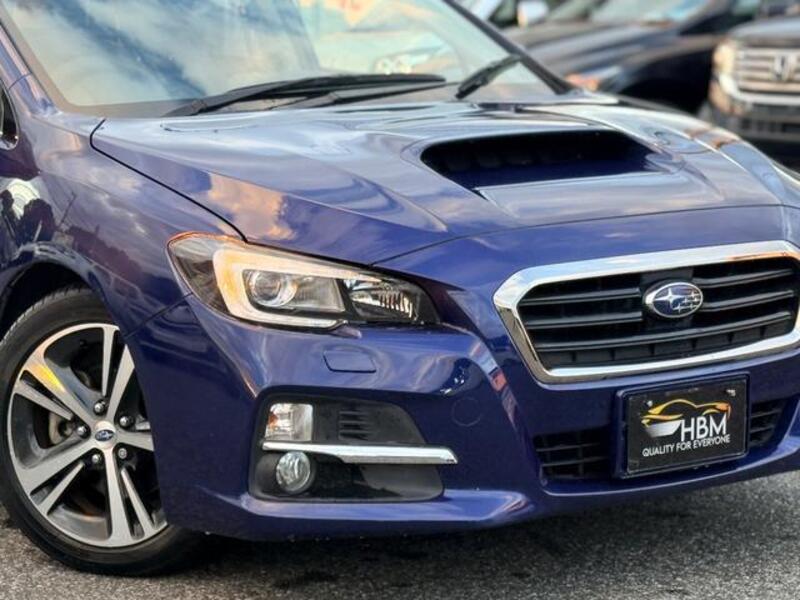 LEVORG