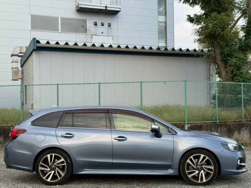 LEVORG