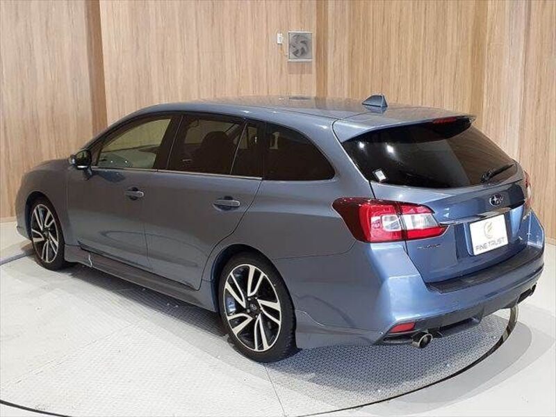 LEVORG