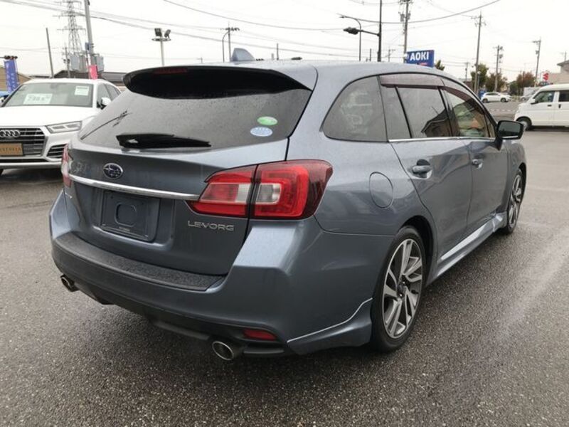 LEVORG