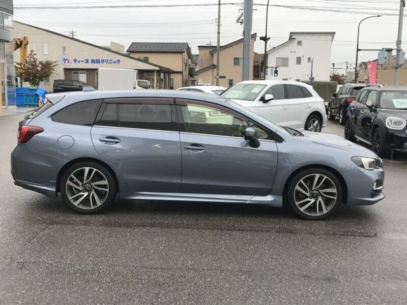 LEVORG