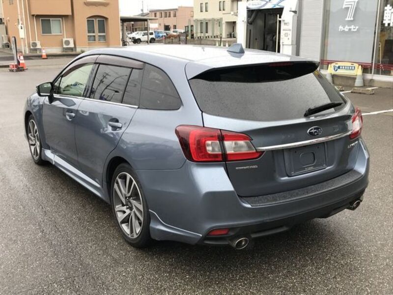 LEVORG