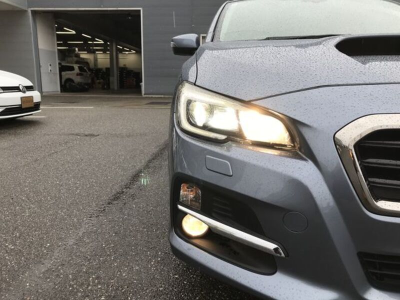 LEVORG