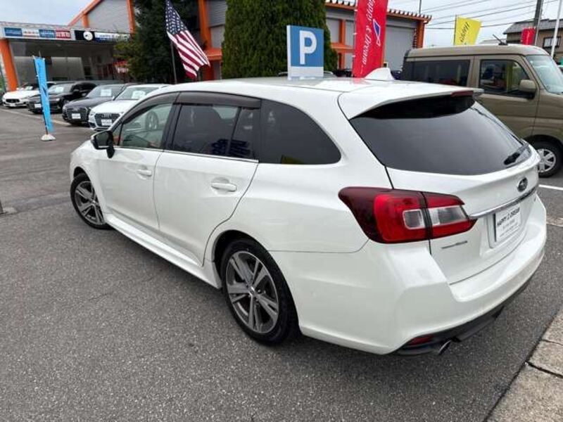 LEVORG