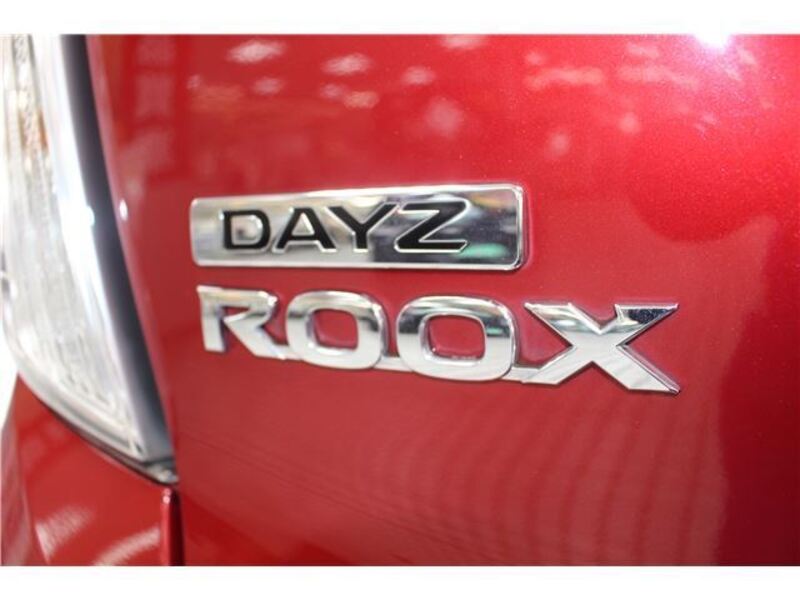 DAYZ ROOX