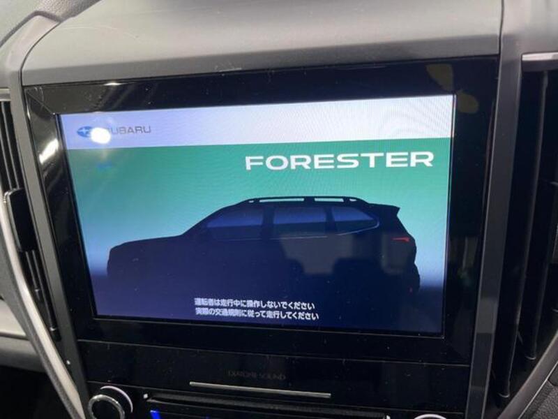 FORESTER