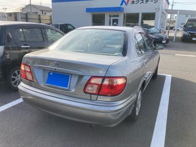 BLUEBIRD SYLPHY