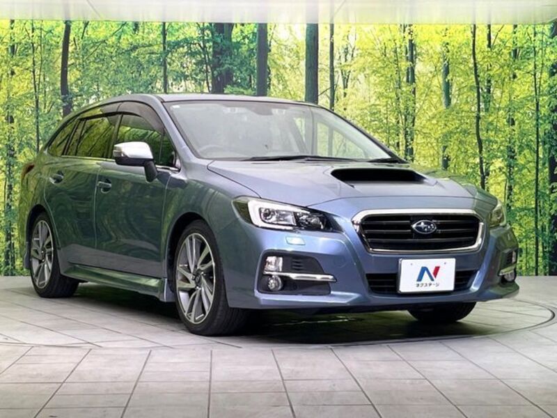 LEVORG