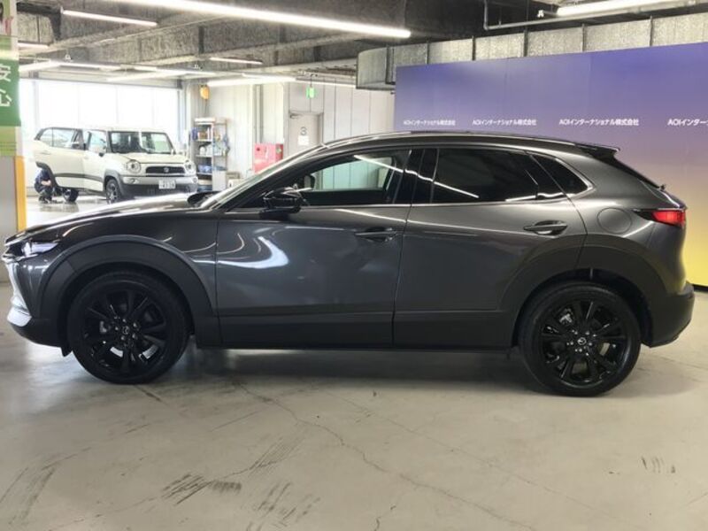 CX-30