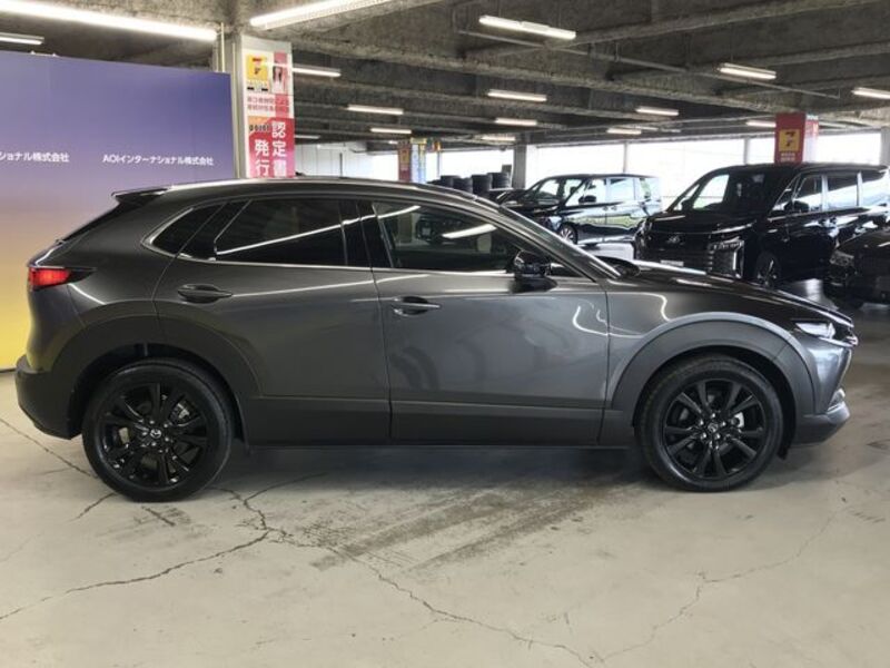 CX-30