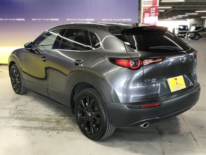 CX-30