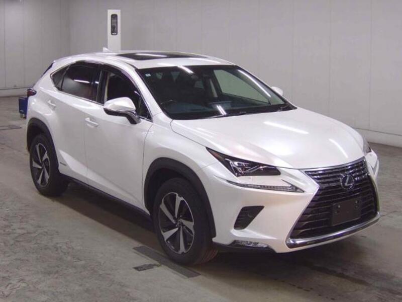 LEXUS NX