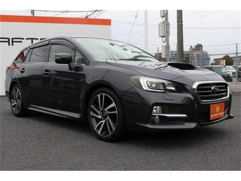 LEVORG