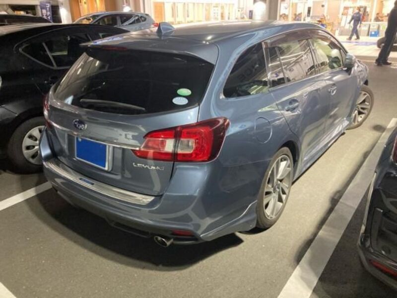 LEVORG