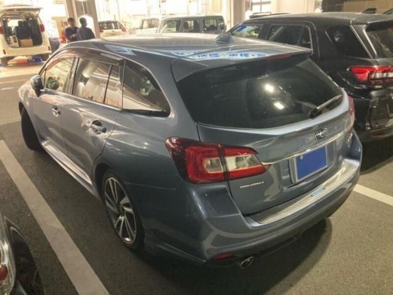LEVORG