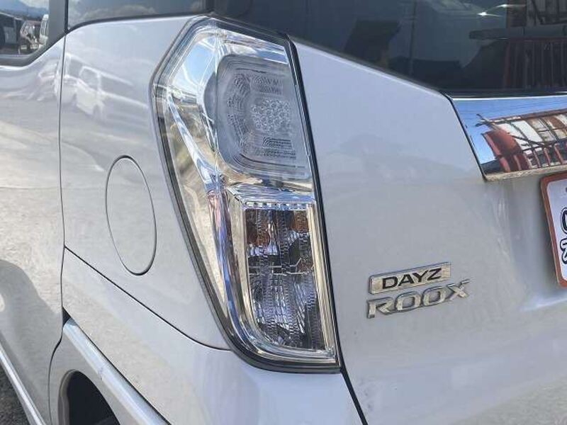 DAYZ ROOX