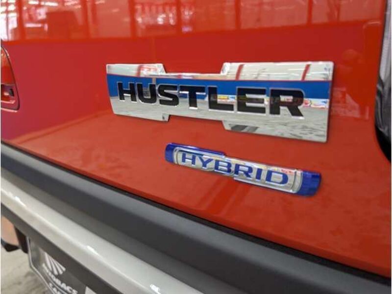 HUSTLER